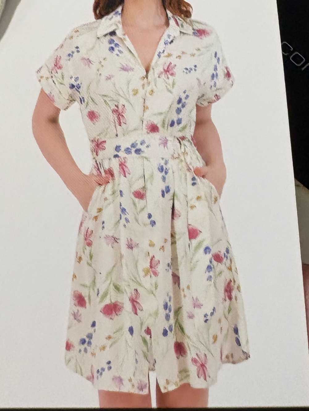 French Connection dress Women's XL  Short Shirt Dress cream floral‎ collared NWT